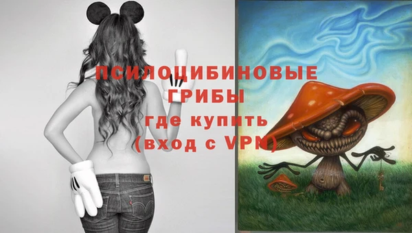 гидропоника Зерноград