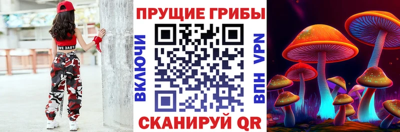 Псилоцибиновые грибы мицелий Купить закладки Иннополис