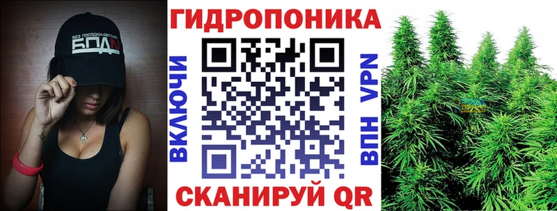 Купить закладки  Иннополис  Каннабис OG Kush 